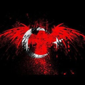 Meet your Posher, Shenal